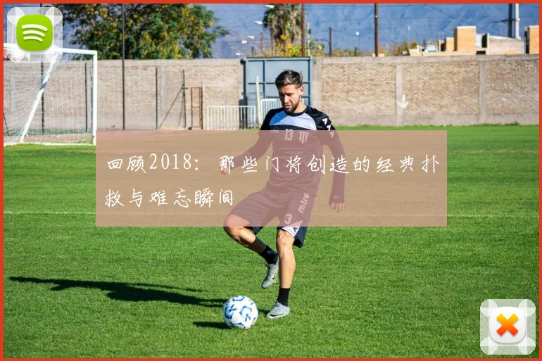 回顾2018：那些门将创造的经典扑救与难忘瞬间