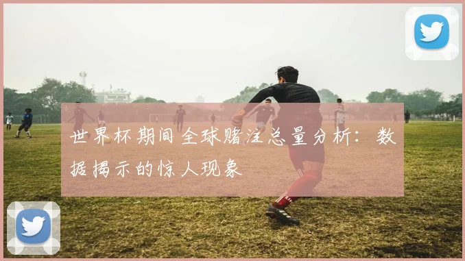 世界杯期间全球赌注总量分析：数据揭示的惊人现象
