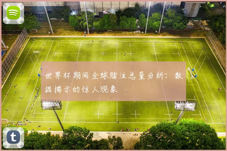 世界杯期间全球赌注总量分析：数据揭示的惊人现象