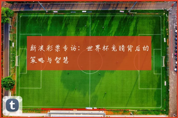 新浪彩票专访：世界杯竞猜背后的策略与智慧