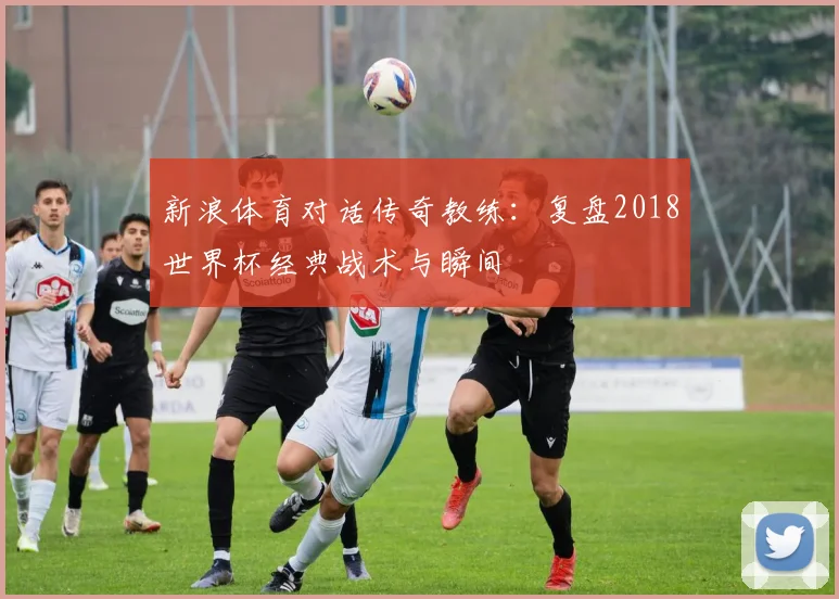 新浪体育对话传奇教练：复盘2018世界杯经典战术与瞬间