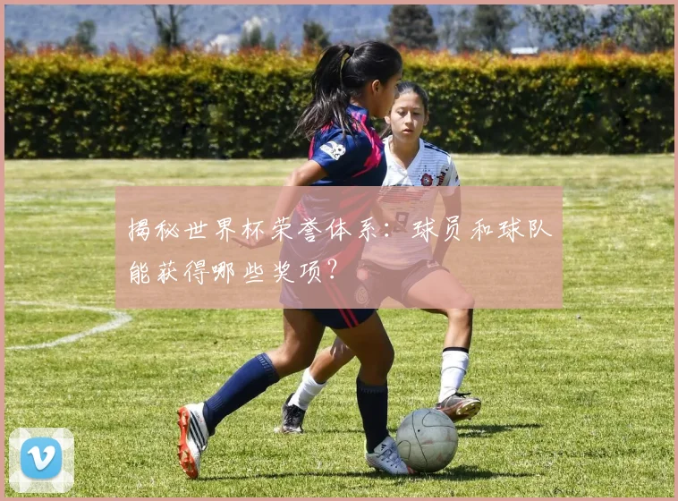 揭秘世界杯荣誉体系：球员和球队能获得哪些奖项？