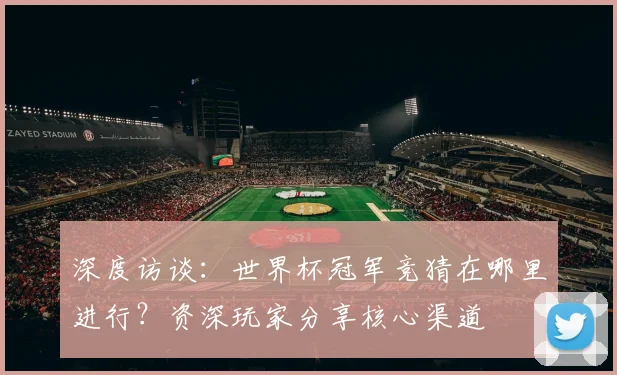 深度访谈：世界杯冠军竞猜在哪里进行？资深玩家分享核心渠道