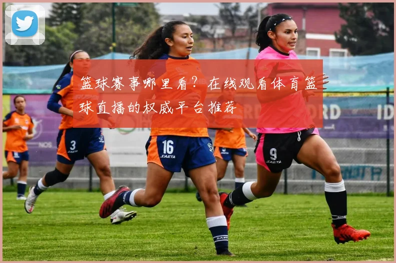 篮球赛事哪里看?在线观看体育篮球直播的权威平台推荐