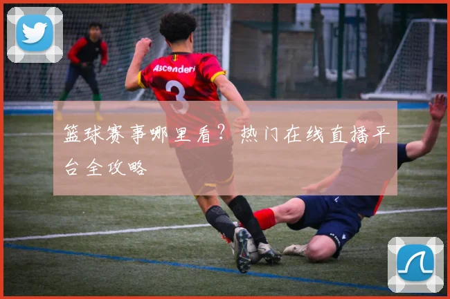 篮球赛事哪里看？热门在线直播平台全攻略